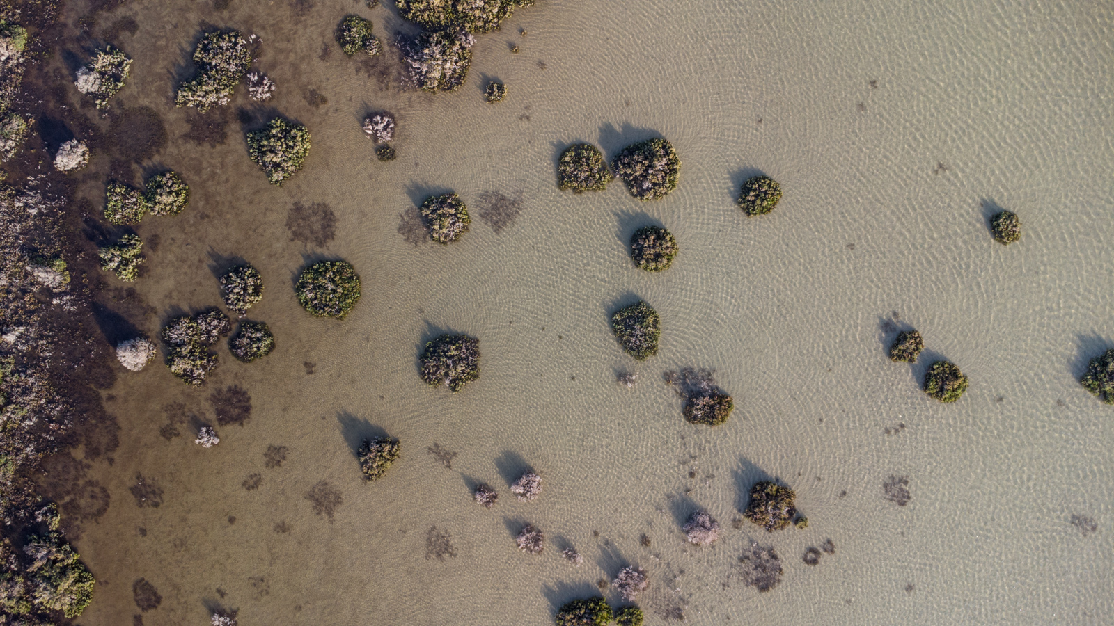 /upload/projets/36/DJI_0177.jpg