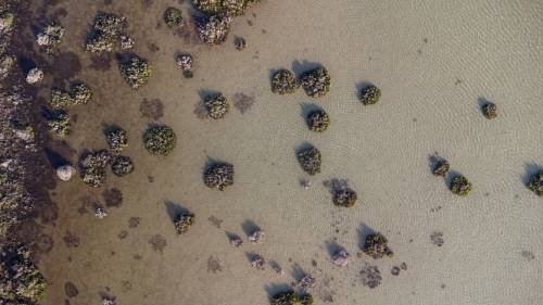 /upload/projets/36/thumbnails/DJI_0177.jpg